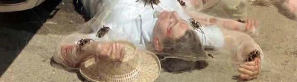 Kingdom of the Spiders&nbsp;(1977)