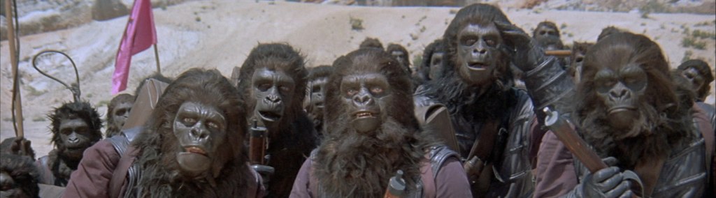 Beneath the Exhibit of the Planet of the&nbsp;Apes