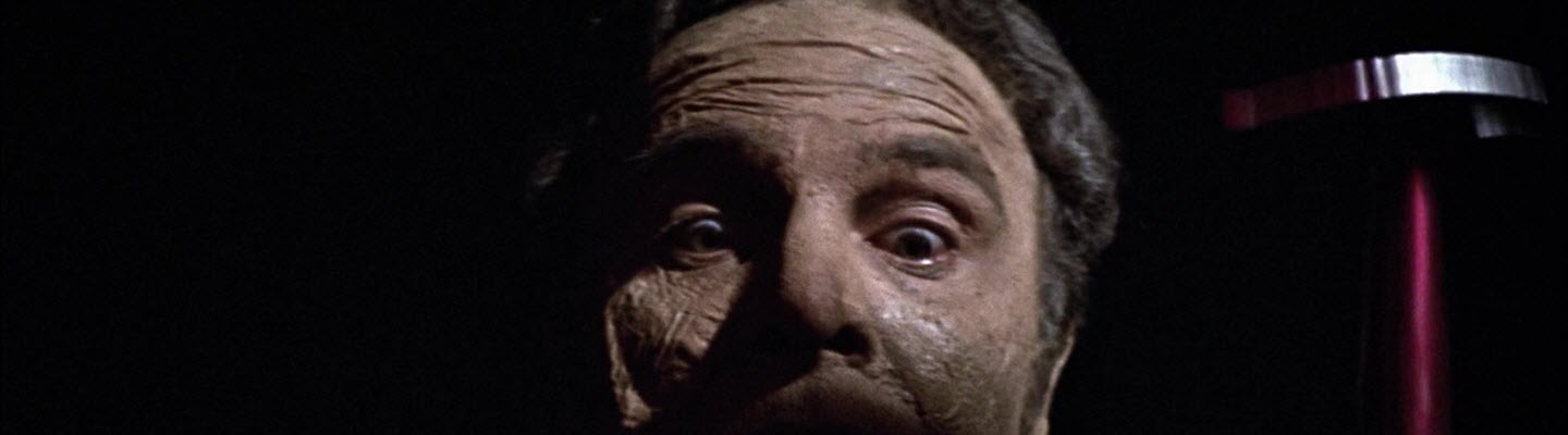 Grave of the Vampire (1972)