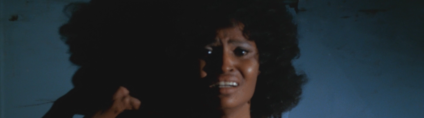 Blackenstein (1973)
