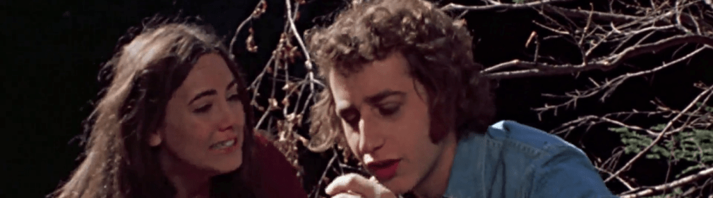 The Last House on the Left (1972)