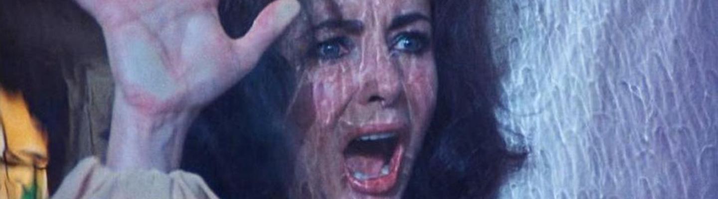 Night Watch (1973)
