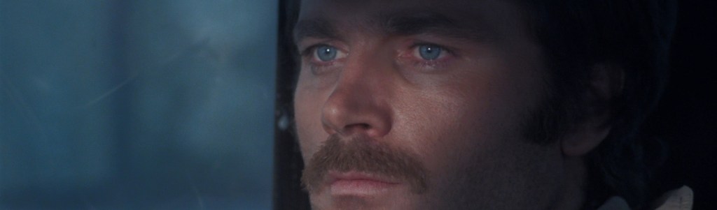 The Fifth Cord&nbsp;(1971)