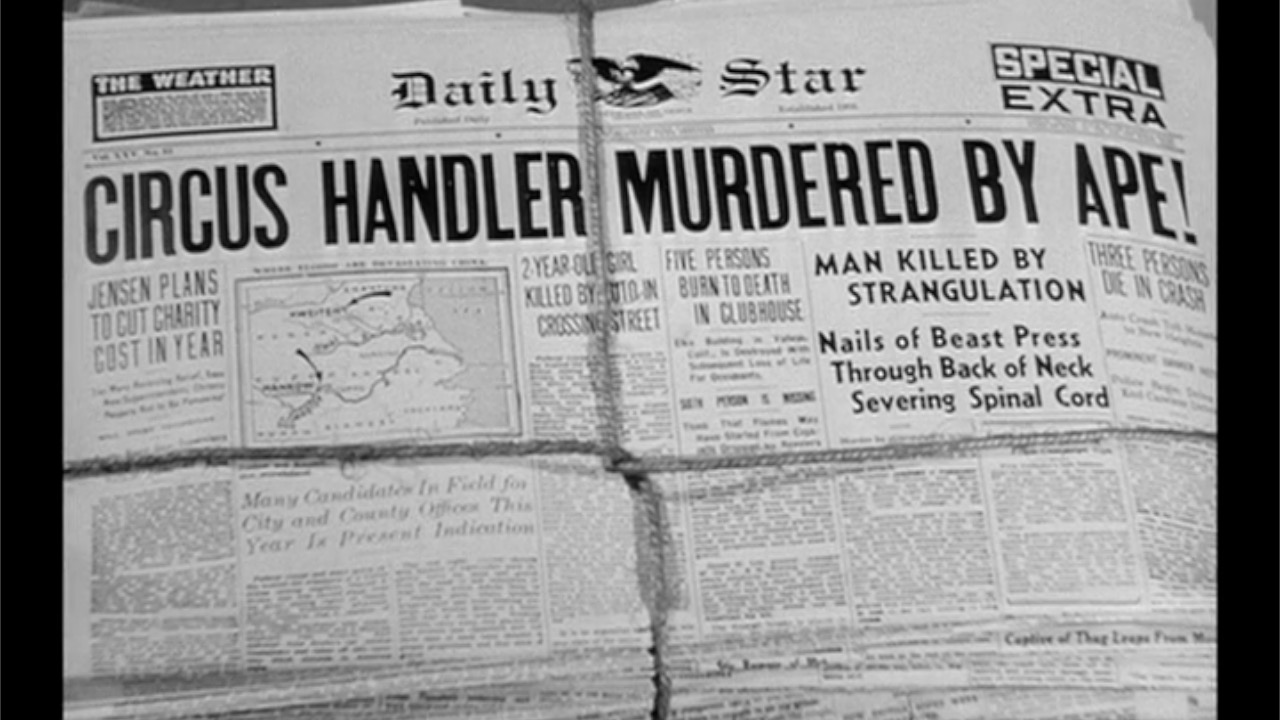 Headline-Captive Wild Woman