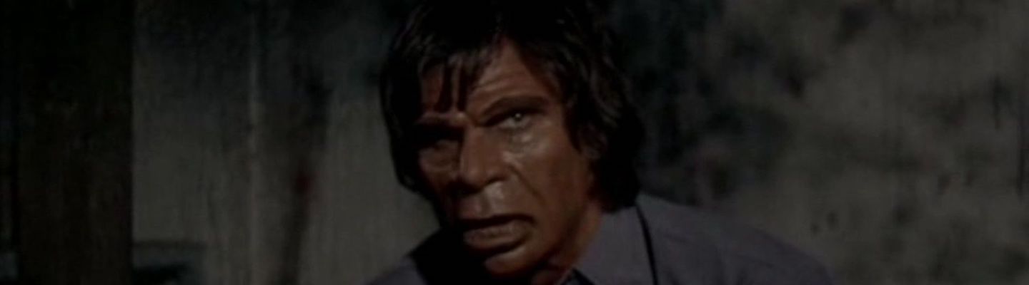 Superbeast (1972)