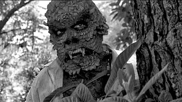 The Hideous Sun Demon&nbsp;(1958)