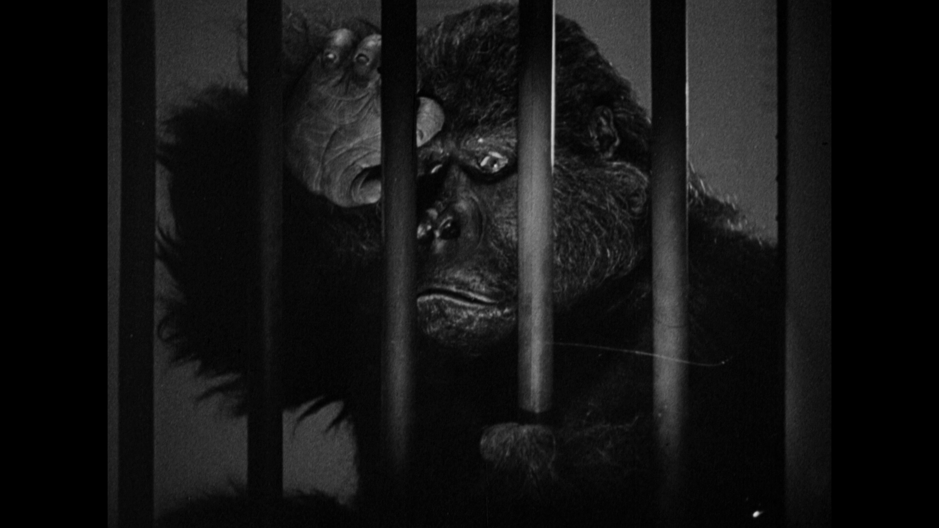The Monster & the Girl (1941)