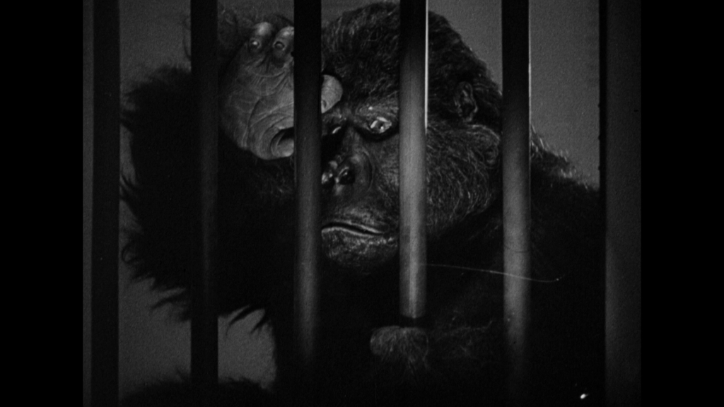 The Monster & the Girl (1941)