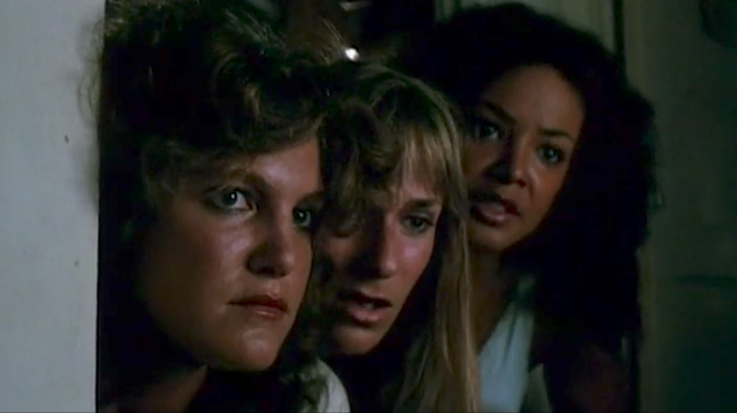 The Slumber Party Massacre (1982)