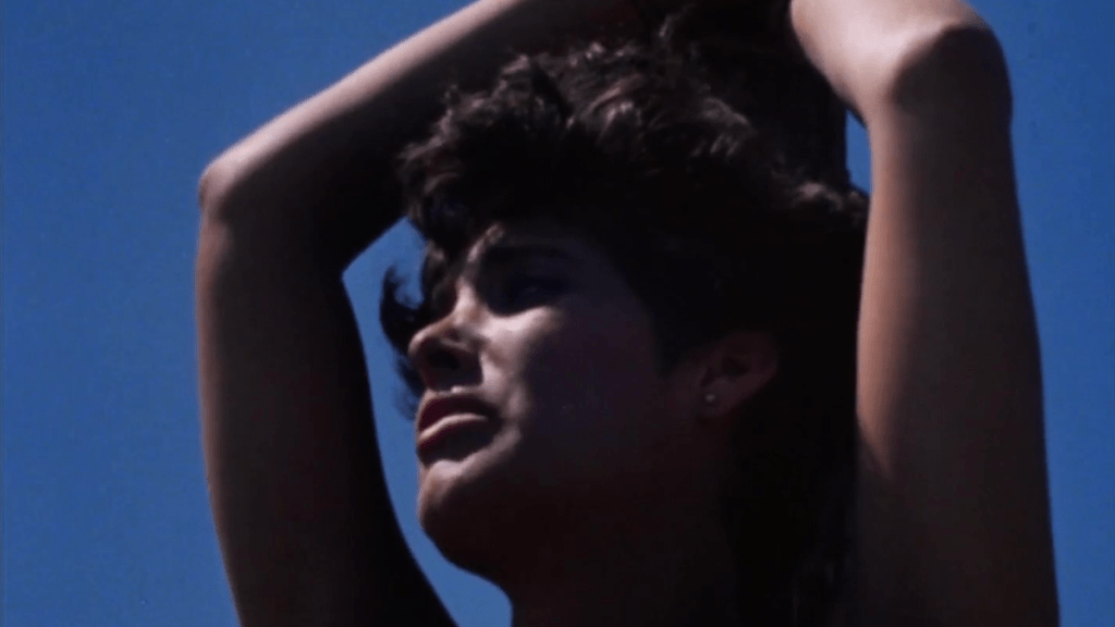 Blood of Dracula’s Castle (1969)