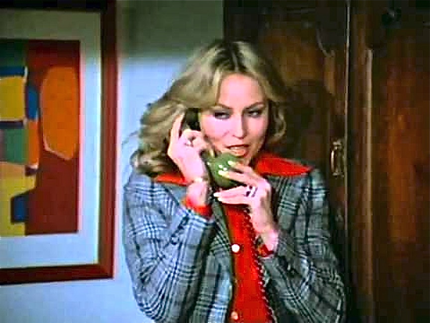 Cover Girls (1977)