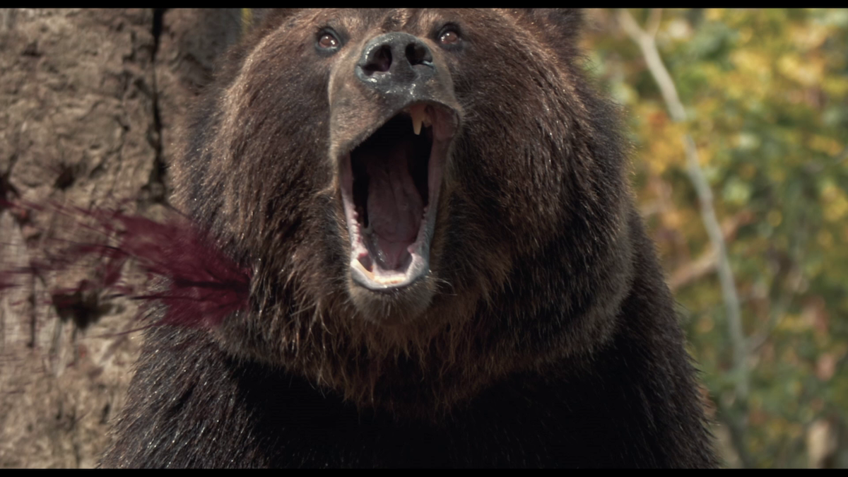 Grizzly II (2020)