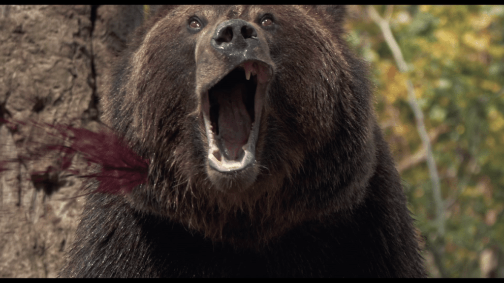 Grizzly II (2020)