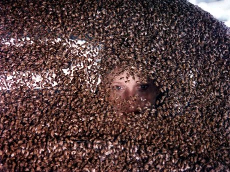 The Savage Bees&nbsp;(1976)