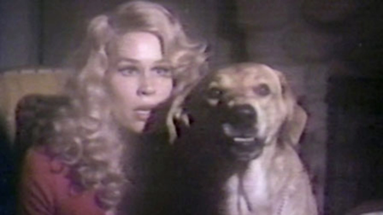 The Strange Possession of Mrs. Oliver (1977)