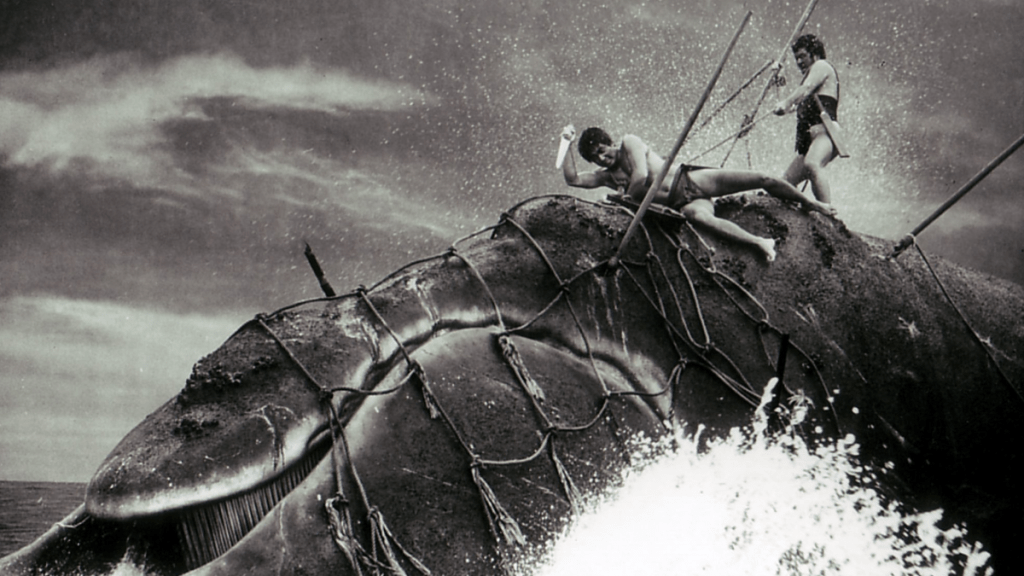 The Whale God (1962) aka Killer&nbsp;Whale