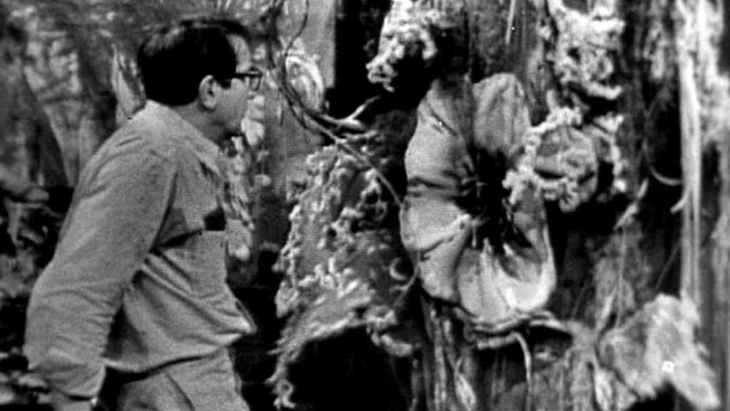 Many Happy Returns/The Fatal&nbsp;Flower